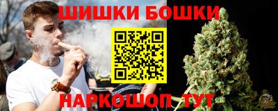 a pvp Славгород