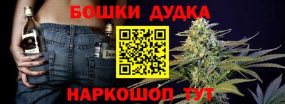 a pvp Славгород