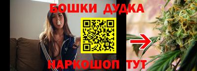 твердый Сланцы