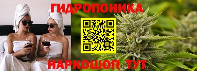 твердый Сланцы