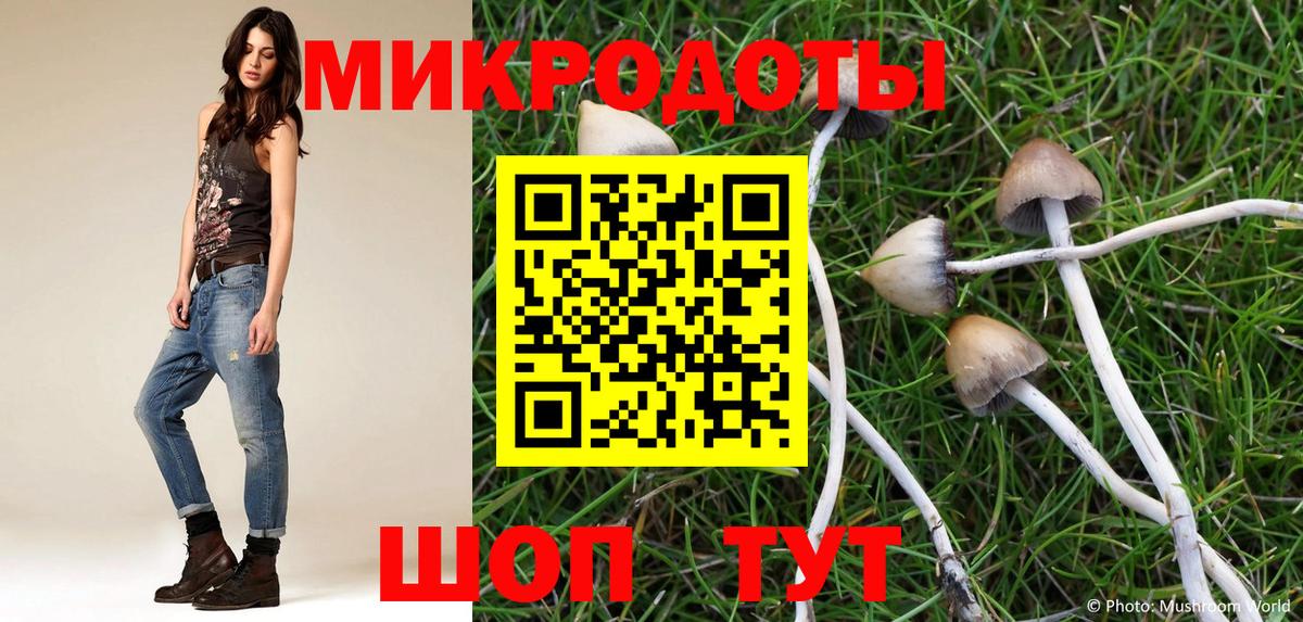 Обнинск  Галлюциногенные грибы мицелий  Вход с VPN 